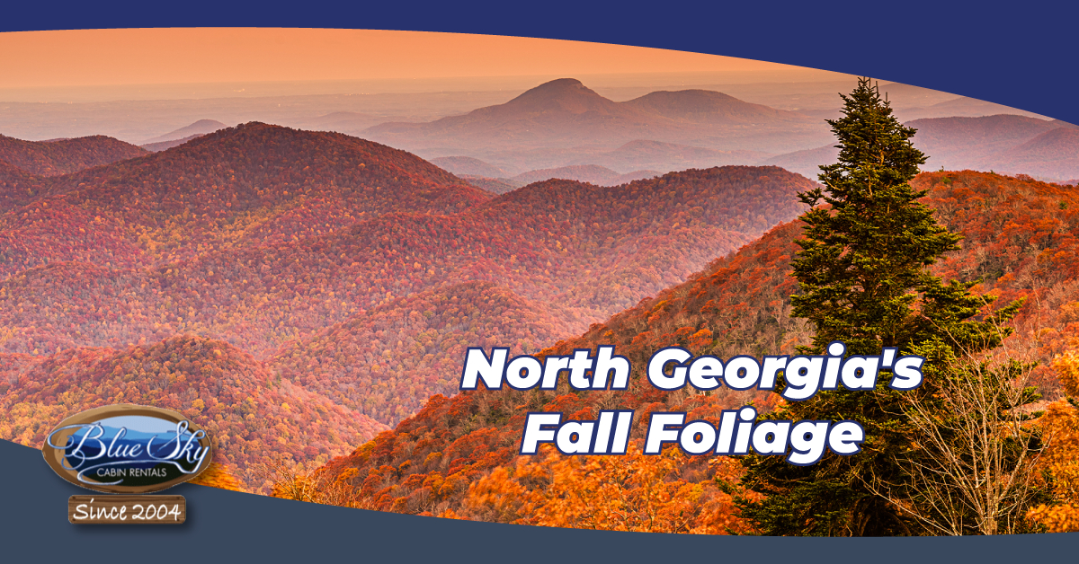 Locations North Fall Foliage Viewing Blue Sky Cabin Rentals